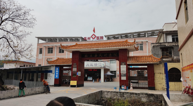 人体微量元素测定仪 人体微量元素测定仪