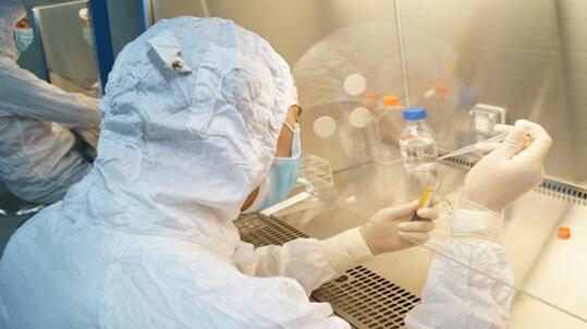 人体中文字幕麻豆