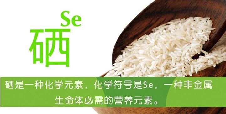 儿童中文字幕麻豆谈硒的摄入含量