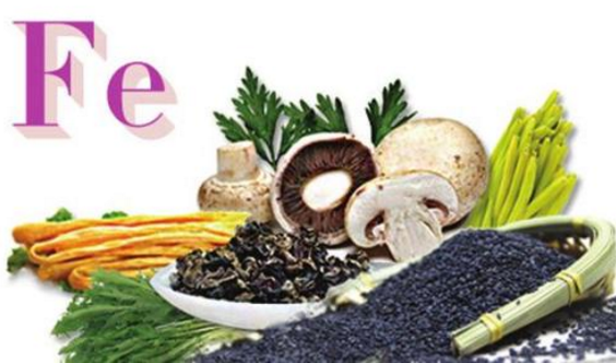 麻豆传媒三级片厂家分析铁的功能及生物学作用