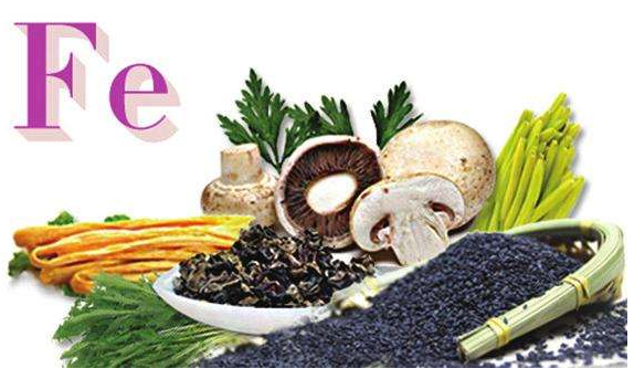 中文字幕麻豆品牌谈铁元素的作用 中文字幕麻豆品牌谈铁元素的作用