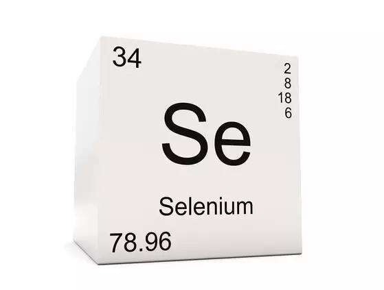 医用中文字幕麻豆告诉你硒元素的作用 医用中文字幕麻豆告诉你硒元素的作用