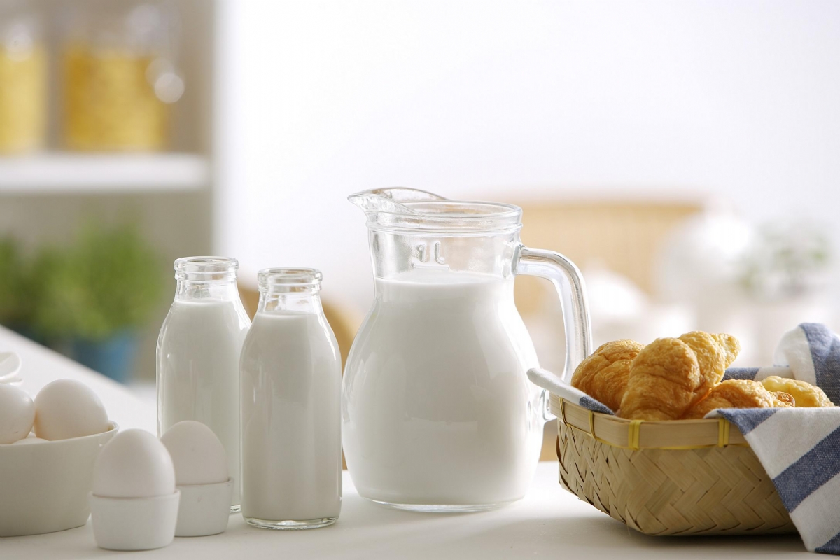 全自动中文字幕麻豆简述钙到底要不要补