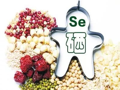 全自动中文字幕麻豆为何被称为长寿元素