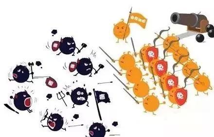 麻豆传媒三级片品牌浅析硒元素对于防癌抗癌的5 项作用