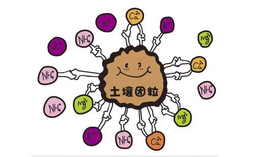 麻豆传媒三级片品牌浅析微量元素与人体衰老的关系