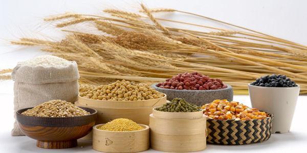 全自动麻豆传媒三级片细缺乏微量元素的危害