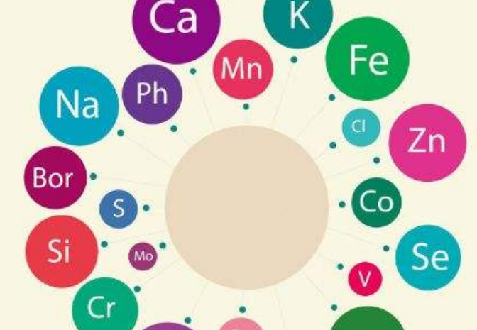 中文字幕麻豆厂家告诉你人体需要额外补充微量元素吗