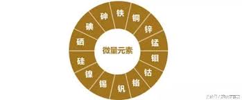 麻豆传媒三级片厂家告诉你人体必需的几种微量元素