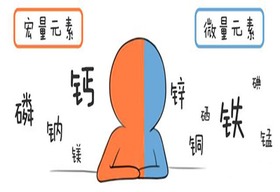 全自动麻豆传媒三级片介绍缺少微量元素的危害 全自动麻豆传媒三级片介绍缺少微量元素的危害