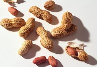 锌元素被什么被誉为生命之花 锌元素被什么被誉为生命之花