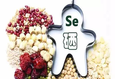 2021/1/26-全自动中文字幕麻豆-国康-人体必需的微量元素 2021/1/26-全自动中文字幕麻豆-国康-人体必需的微量元素