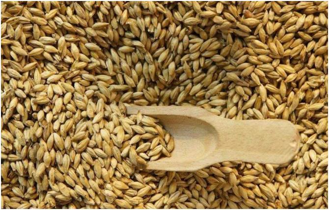 603深圳全自动钙铁锌硒检测仪检测1种微量元素可以被称为女性宫颈癌的“天敌”